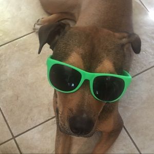 Meet your Posher, Tamica